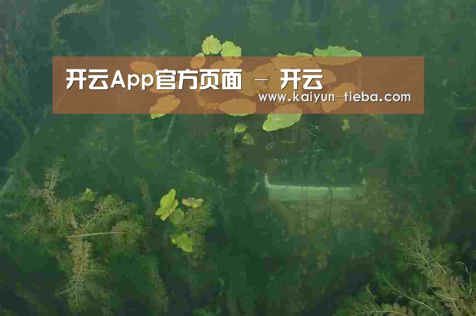 案例展示三(图1)