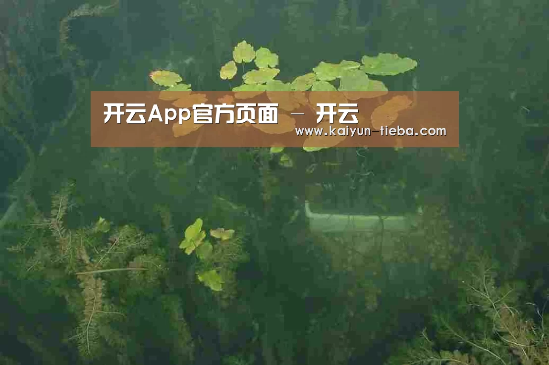 案例展示三