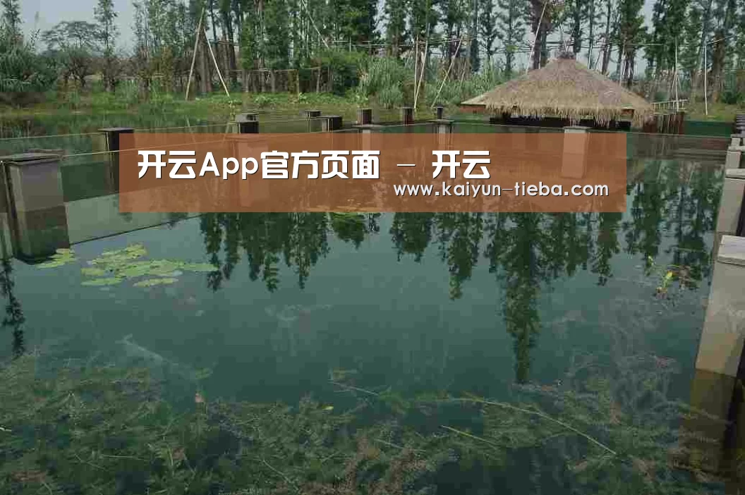 案例展示二