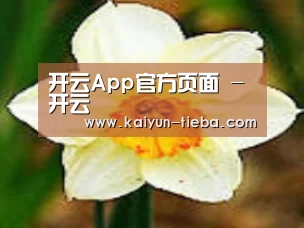 产品名称四