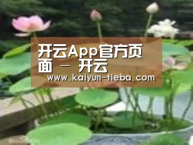 产品名称一