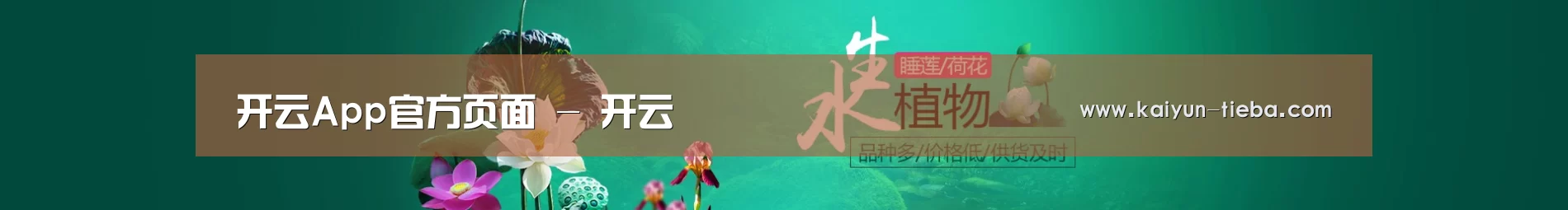 鲜花水草花卉网站模板